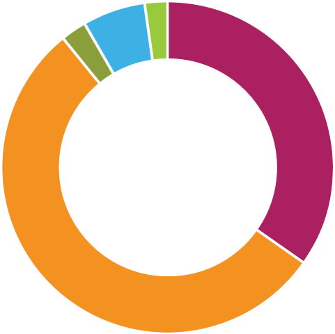 Expenses Pie Chart